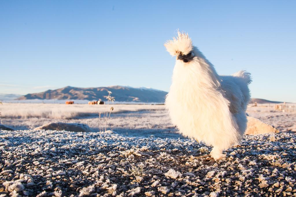 Highlands Farm Stay ทไวเซิล ภายนอก รูปภาพ